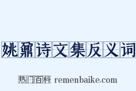 姚鼐诗文集反义词是什么意思的图片